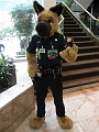 PIT_Anthrocon2013 (8)